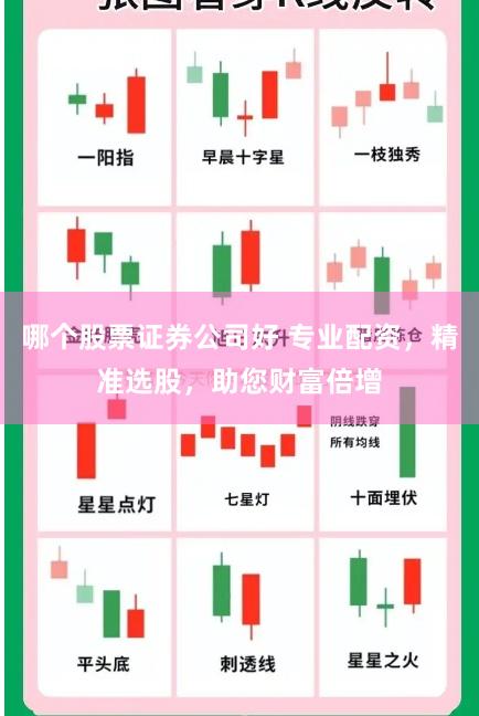 哪个股票证券公司好 专业配资,精准选股,助您财富倍增